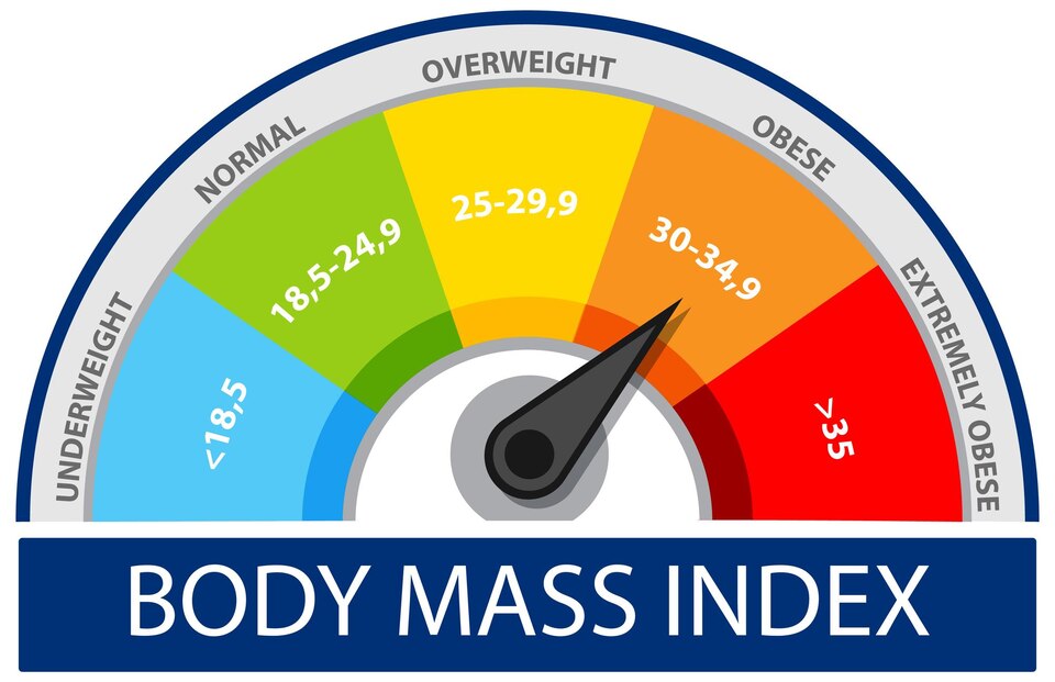 BMI range chart