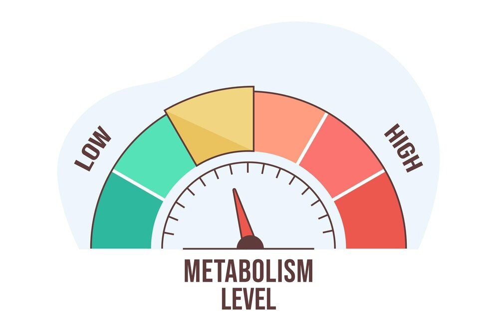 metabolism level