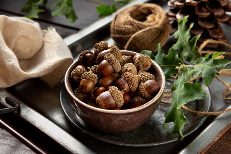 Horse Chestnut uses in Piles