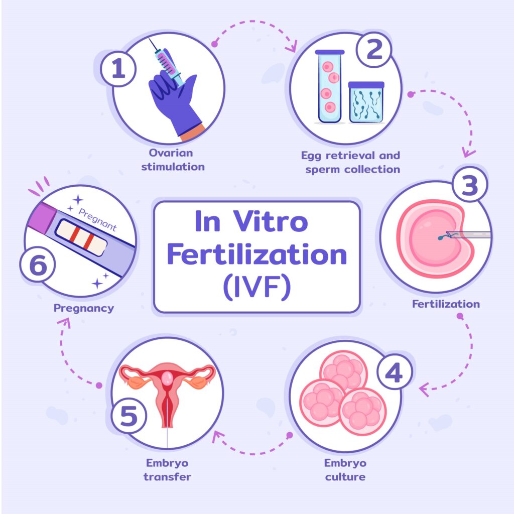 Ivf Treatment Meaning Process Ivf Treatment For Pregnancy 3103