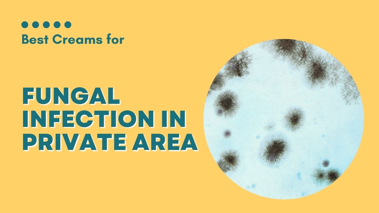 Best Creams for fungal infection in private area - Buy Cream Online