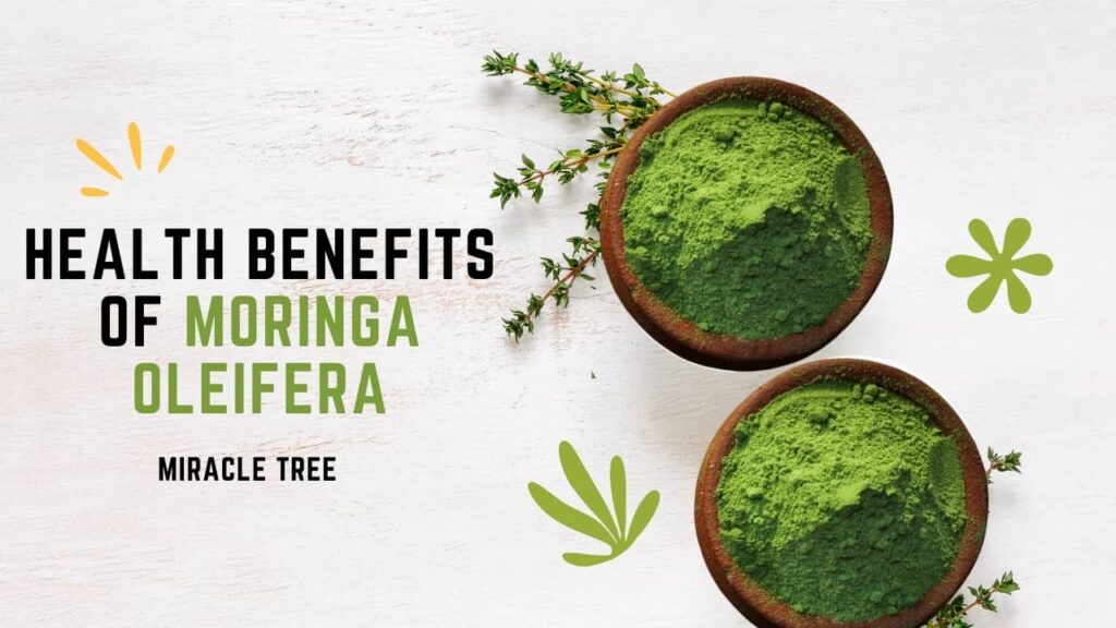moringa benefits, moringa powder benefits, moringa leaves benefits 