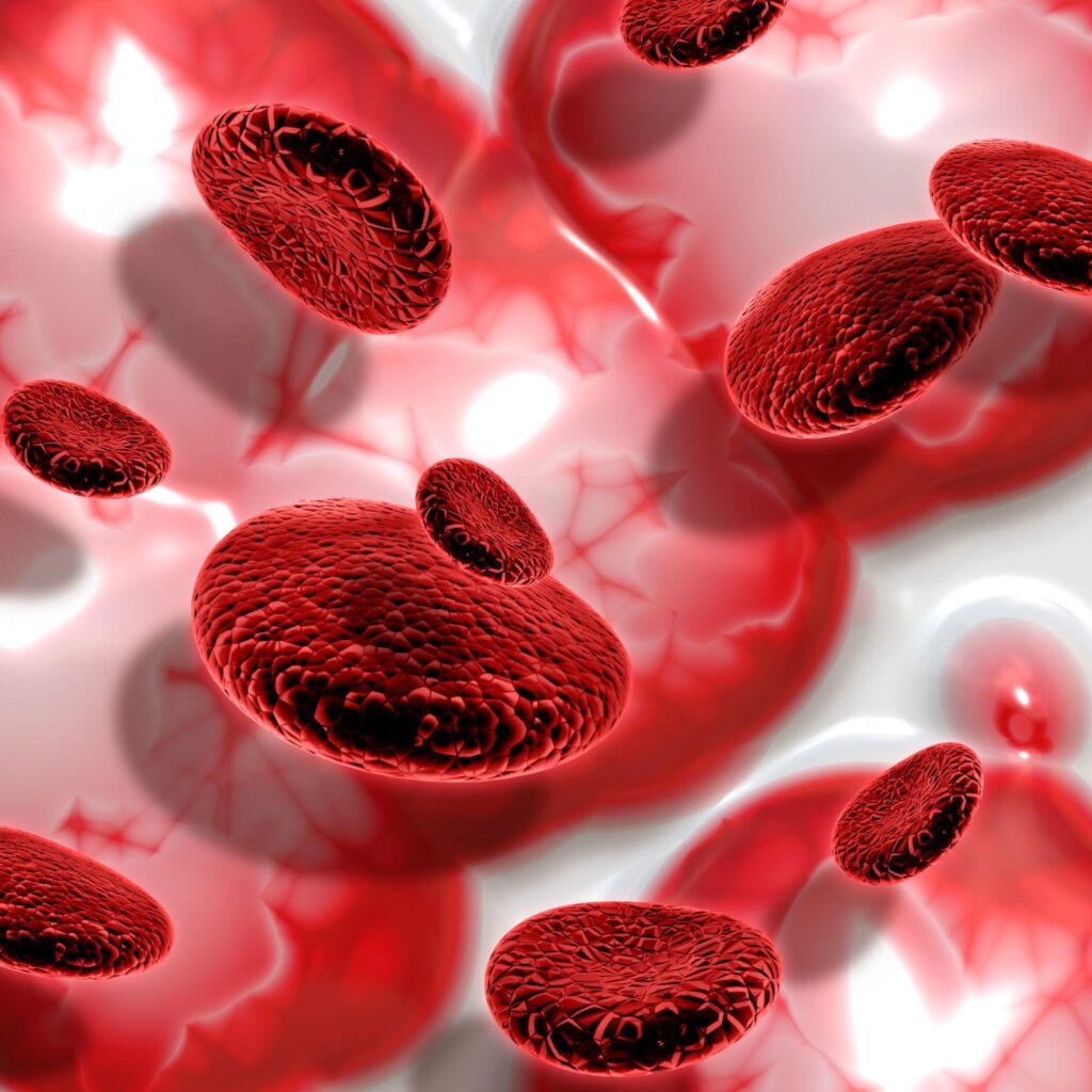 normal hemoglobin level in female