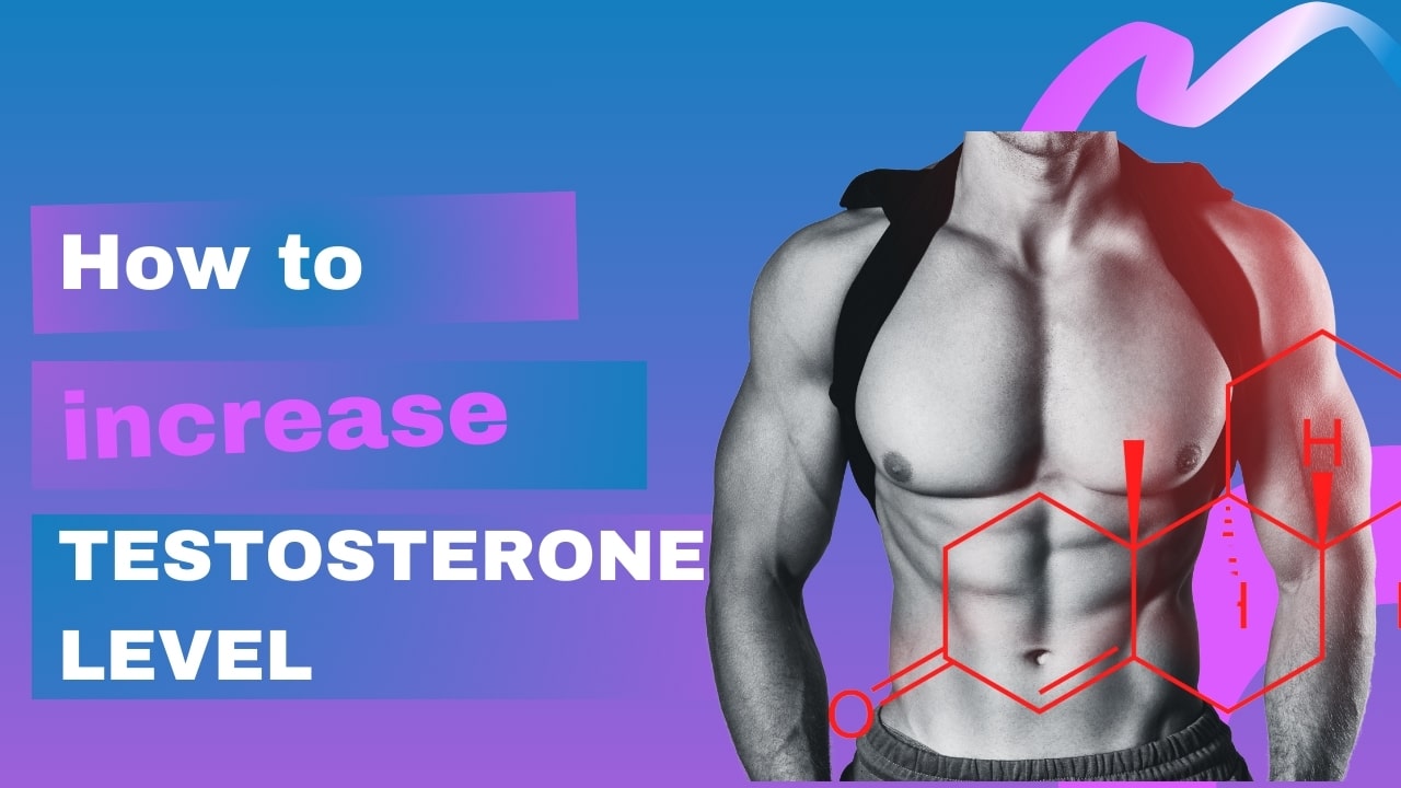 How to increase Testosterone Level?