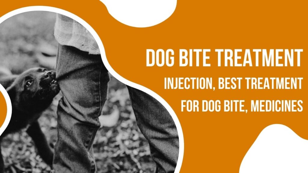 dog bite treatment