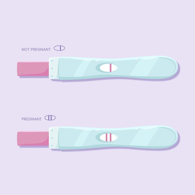 pregnancy test kit check