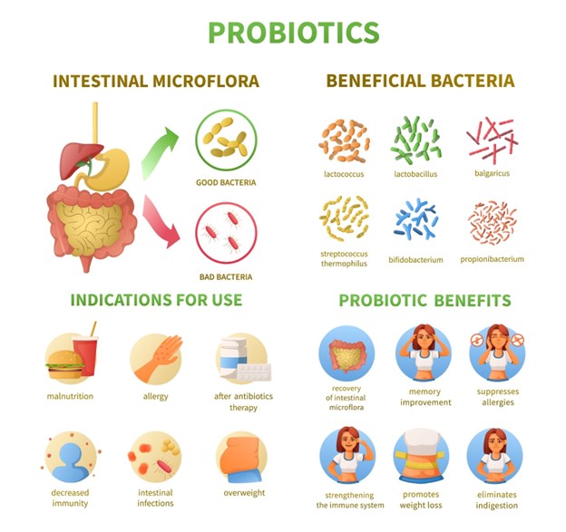 Probiotics For healthy gut