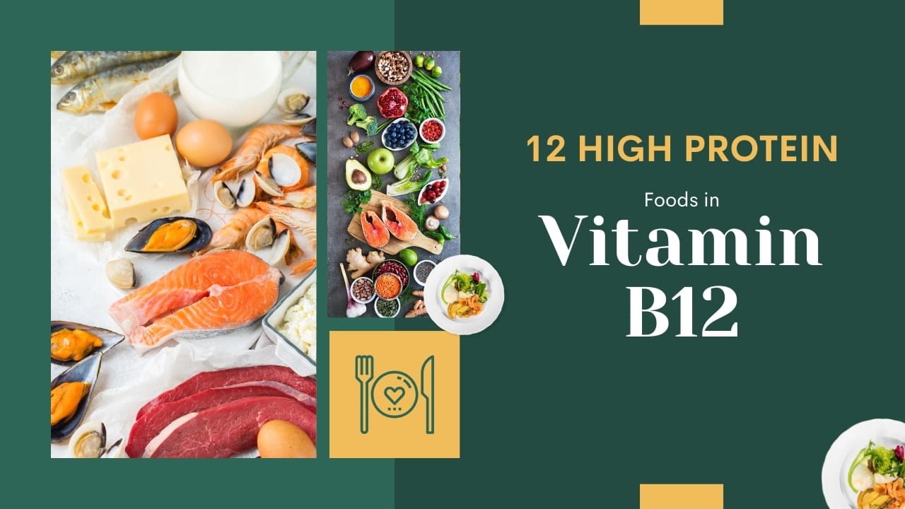 12 High Protein Foods in Vitamin B12 - Medkart Pharmacy Blogs