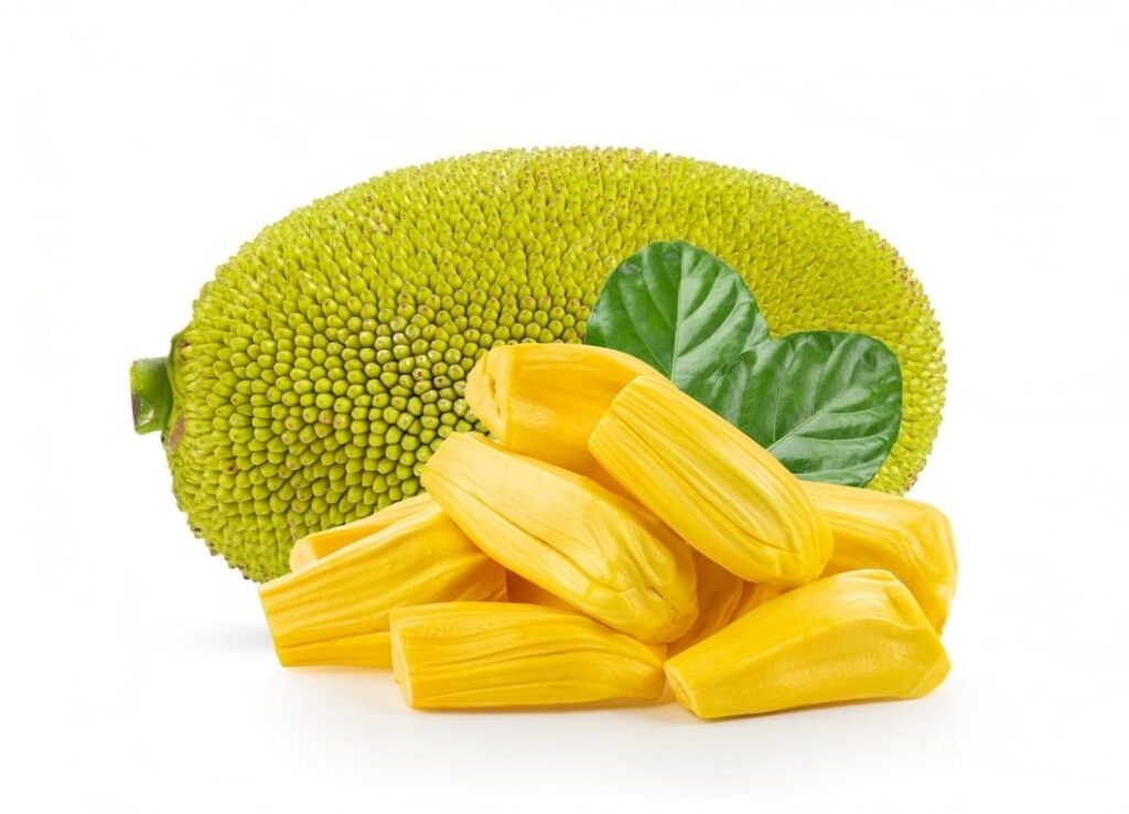 picture of jackfruit 