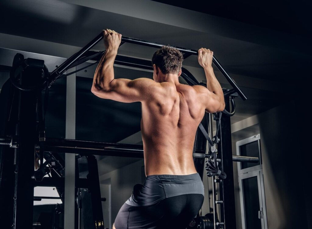 back muscle exercises