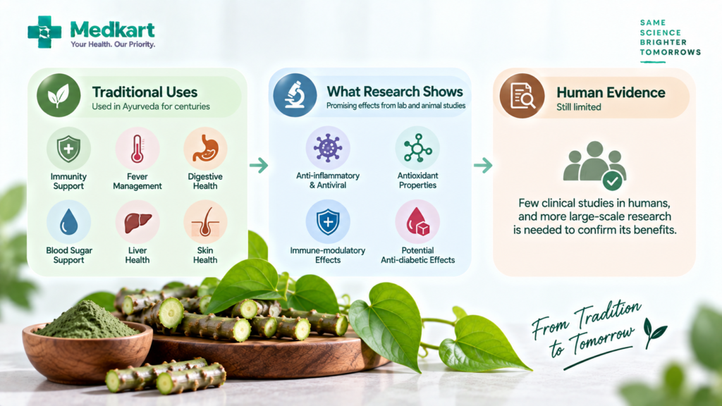 Giloy benefits and uses